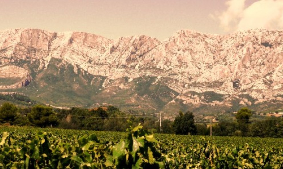 Puyloubier vignoble