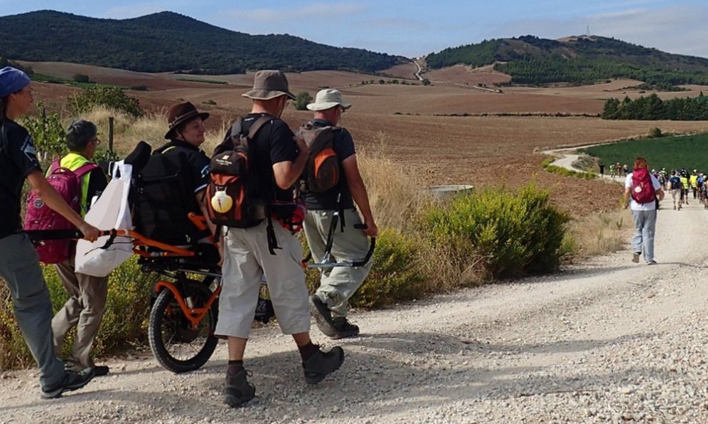 Camino-frances