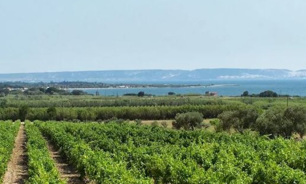 Domaine de Suriane 13