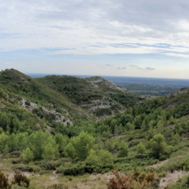 Le gaudre de valmouriane