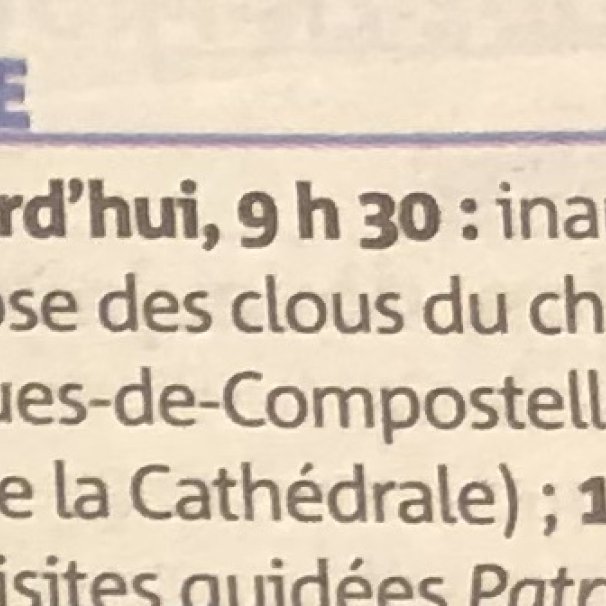 NM 21 09 2024 VEnce Annonce clous coquille