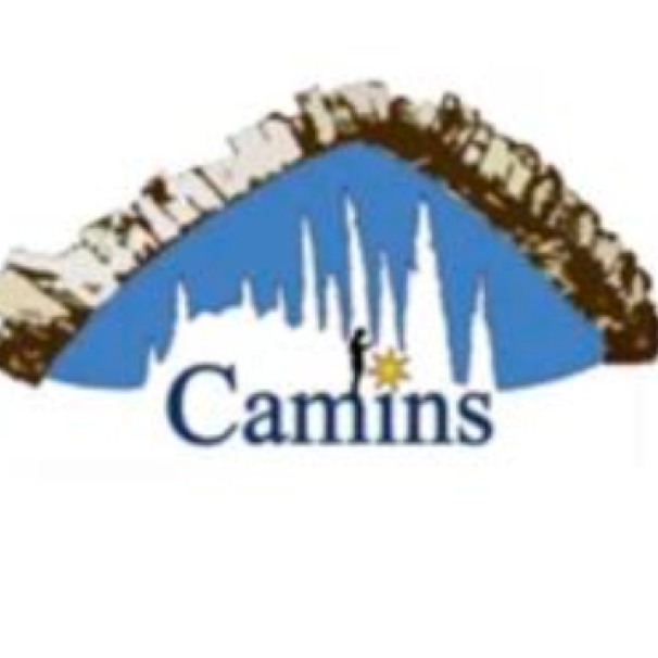 Logo Association FFACC CAMINS