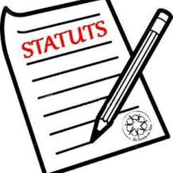 Infographie Statuts Image