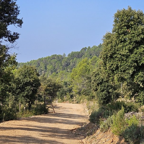 Balisage 14