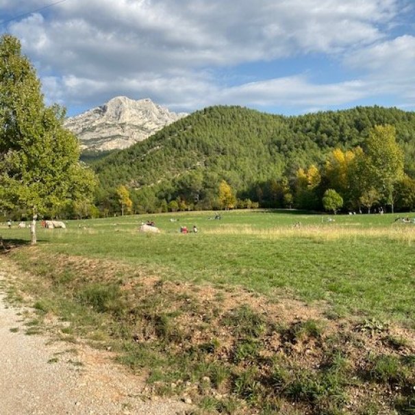 Vallon des Reynaud Aix en Provence