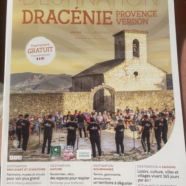 Dracenie
