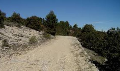 Chante-Puvine, la route royale