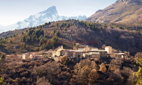 ALBERTACCE Haute-Corse