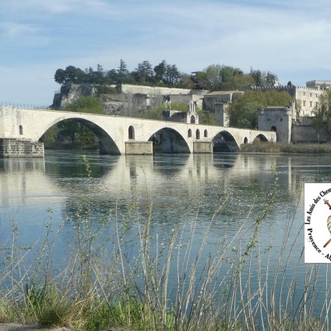 Pont d'Avignon