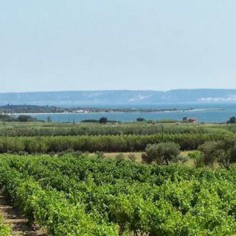 Domaine de Suriane 13