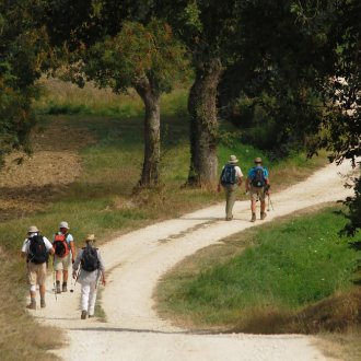 Marcheurs sur un sentier