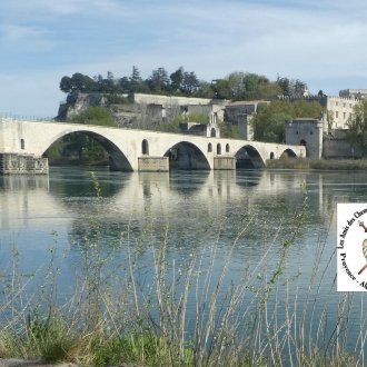 Pont d'Avignon