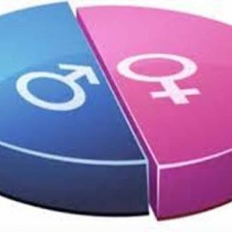 Camembert egalite_hommes_femmes