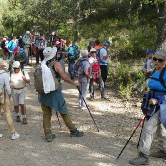 Une centaine de participants pour la sortie Inter associations du 13 avril 2024 au Parc de Pichauris