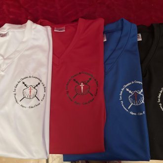 T-SHIRT nouveaux modèles manches courte col V