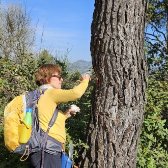 balisage du 11/04/2025
