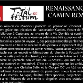 Affiche Camin Romieu