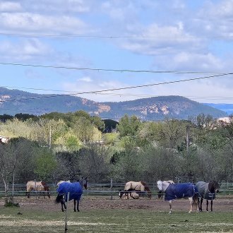 Balisage n° 4 - 2026