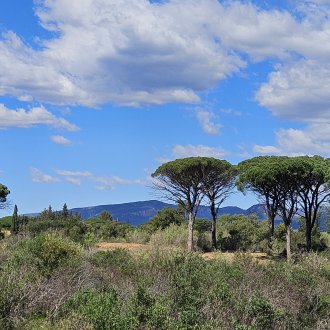 Balisage n° 4 - 2026