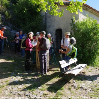 serres