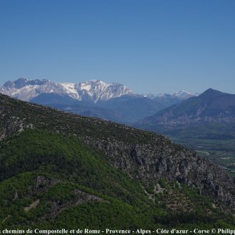 serres