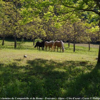 Sortie 25 mai 2026