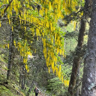 Gorges Saint-Pierre