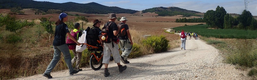 Camino-frances