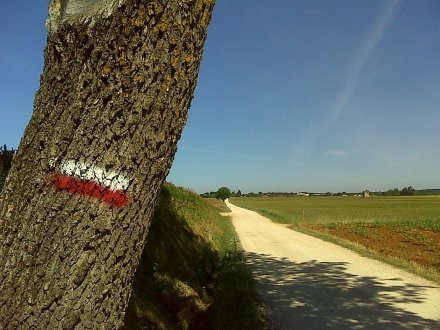 Signalétique 2
